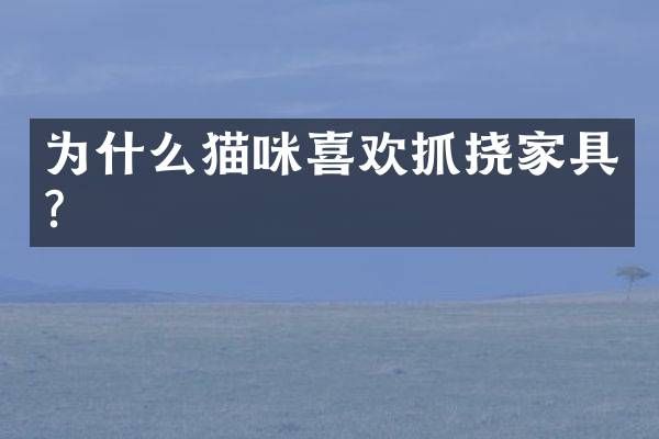 为什么猫咪喜欢抓挠家具？