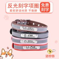 宠物狗狗刻字反光猫咪名牌定制身份牌定做防丢吊牌猫牌狗牌项圈