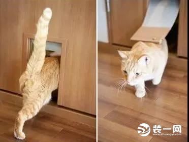 室内装修设计