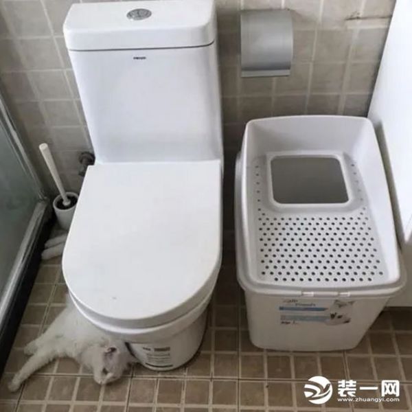 宠物房间卫生间设计效果图