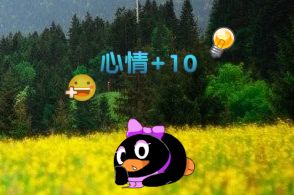 QQ宠物如何增加心情值