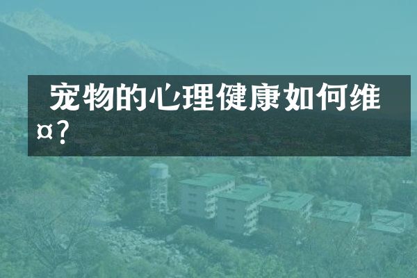  宠物的心理健康如护？