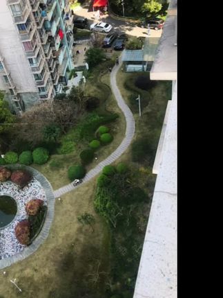 沈小明&哆来咪宠物用品：小区有人确诊，下不了楼只能在阳台上看看外面。