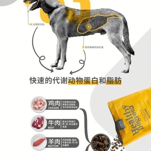 低脂狗粮哪个牌子好