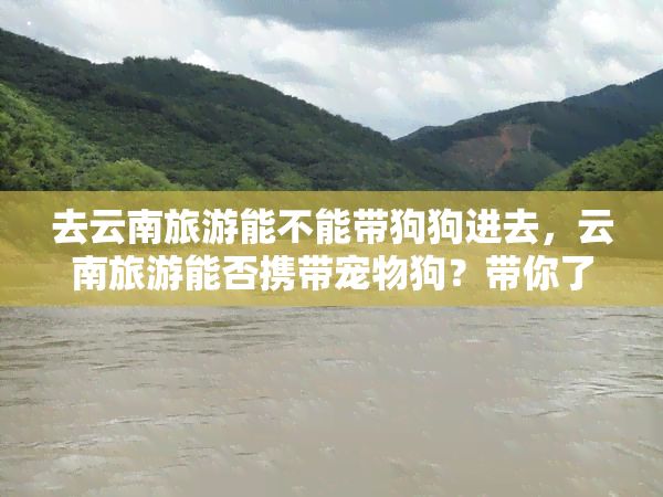 去云南旅游能不能带狗狗进去，云南旅游能否携带宠物狗？带你了解相关规定和建议