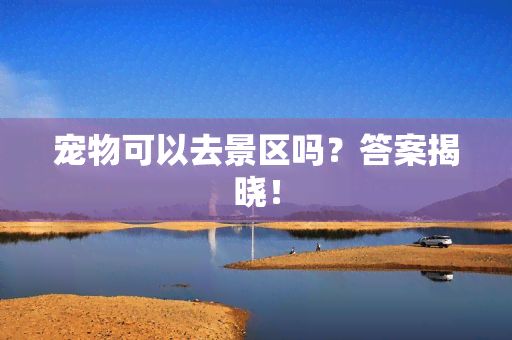 宠物可以去景区吗？答案揭晓！