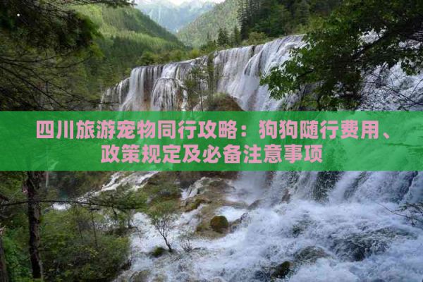 四川旅游宠物同行攻略：狗狗随行费用、政策规定及必备注意事项
