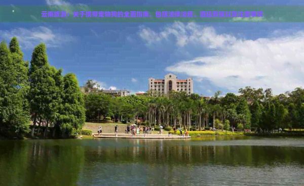 云南旅游：关于携带宠物狗的全面指南，包括法律法规、酒店政策以及注意事项