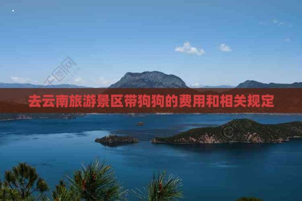 去云南旅游景区带狗狗的费用和相关规定