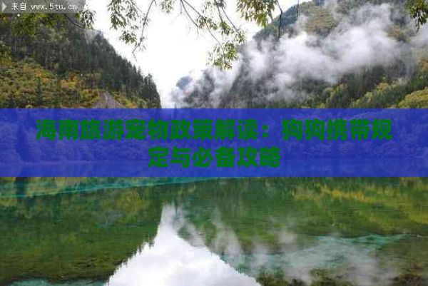 海南旅游宠物政策解读：狗狗携带规定与必备攻略