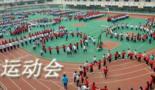 动物运动会作文(15篇)