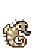 Pet-Seahorse-Desert