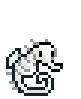 Pet-Seahorse-Skeleton