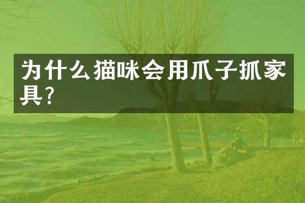为什么猫咪会用爪子抓家具？