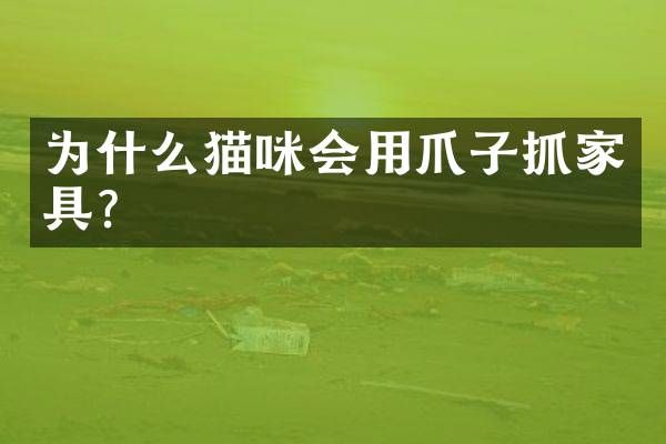 为什么猫咪会用爪子抓家具？