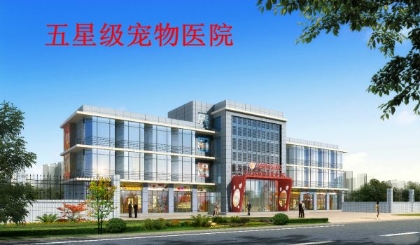 宠物临床医学大专推荐学校(宠物临床诊疗技术就业前景大专)