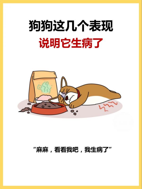 狗狗出现这几个表现，说明它真的不舒服！#狗狗健康 #新手养狗 #养狗日常 #养狗经验分享 #狗狗生病