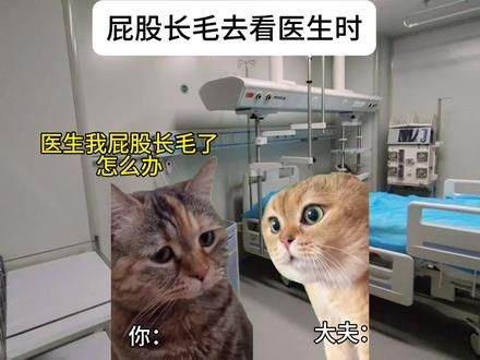当你问大夫一个很尴尬的问题时#猫meme小剧场 #精神状态belike #内容过于真实 #人间真实 #校园生活