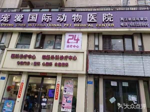 重庆动物医院
