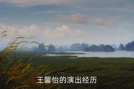王馨怡的演出经历