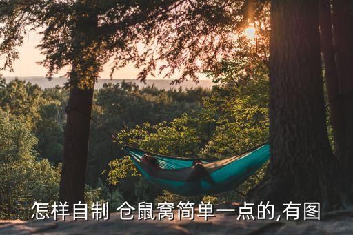 怎样自制 仓鼠窝简单一点的,有图