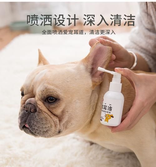 宠物狗狗如何治疗耳螨？（预防与治疗，多重策略保护宠物耳朵健康）