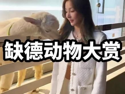 盘点那些缺德动物行为大赏！#动物的迷惑行为 #缺德动物 #看一遍笑一遍 #专治不开心