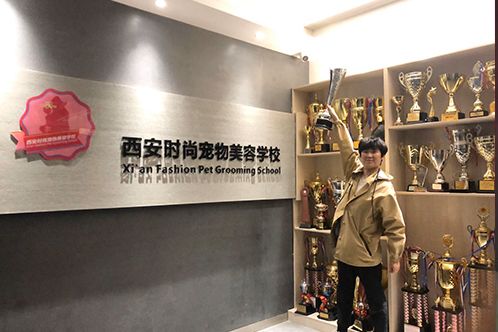 西安时尚宠物美容学校简介，附地址、课程、学费、讲师等信息
