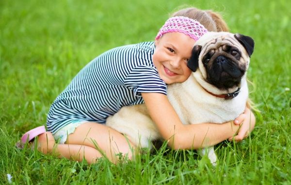 八哥犬好养吗