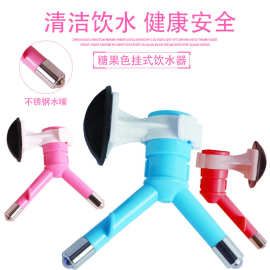 宠物饮水机饮水机水壶头悬挂式宠物饮水器头狗水壶喂食器工厂直供