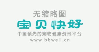 狗狗消化不良怎么办，有什么表现？，狗狗消化不良咋办