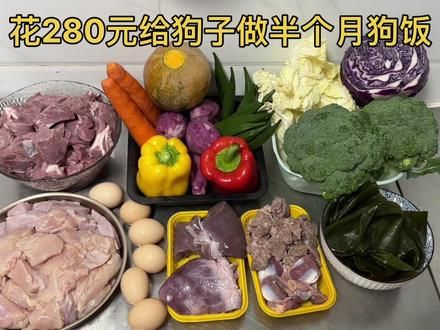 耗时4小时，花费280 元 值不值？#自制狗饭 #金毛 #萌宠版你好你好你好 #金毛 #干饭狗的日常