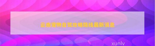 云南宠物自驾攻略路线最新消息