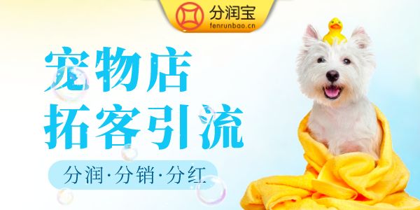 宠物店线下推广