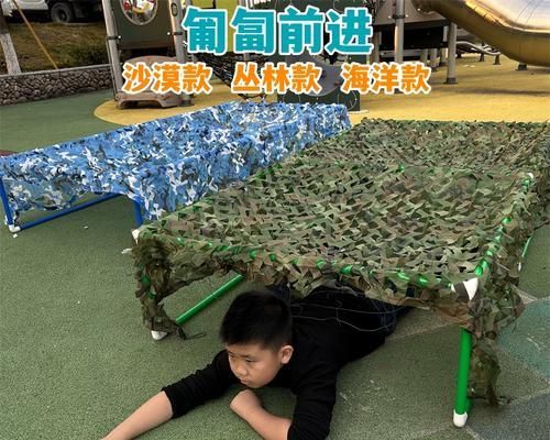 教你如何训练宠物狗狗匍匐前进技巧（从基础练起，掌握匍匐前进的技巧，让你的狗狗更听话）