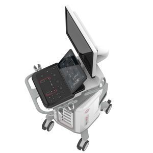 兽医超声波检查仪 / 台式