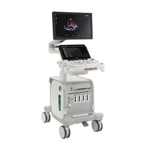 兽医超声波检查仪 / 台式