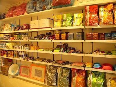 开宠物店需要什么证件
