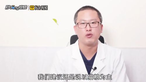 怎么正确饲养小猫？