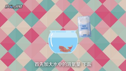 锦鲤趴缸底怎么办