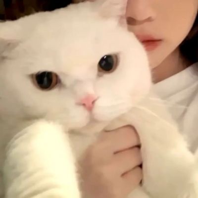 情侣头像宠物和主人