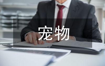 宠物助理总结