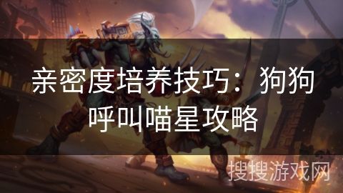 亲密度培养技巧：狗狗呼叫喵星攻略