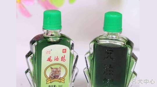 什么鼠好养又粘人，仓鼠鼠宠物直播
