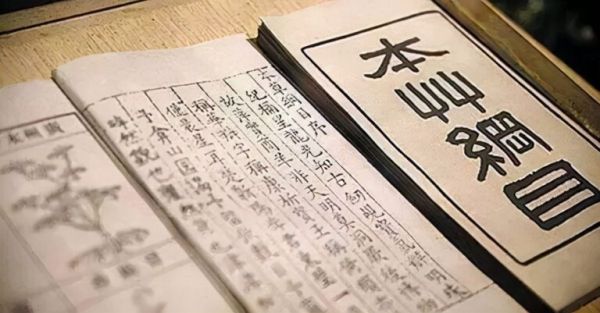 鼠为什么叫“老鼠”，又为什么叫“耗子”？居然与韩信有关