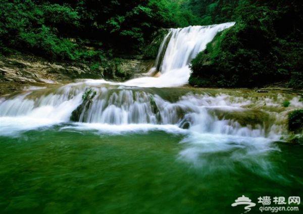 带着宠物去旅行 怀柔龙湖居享唯美时光