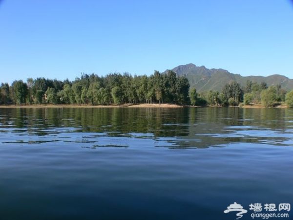 带着宠物去旅行 怀柔龙湖居享唯美时光