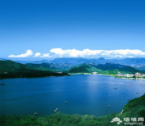 带着宠物去旅行 怀柔龙湖居享唯美时光
