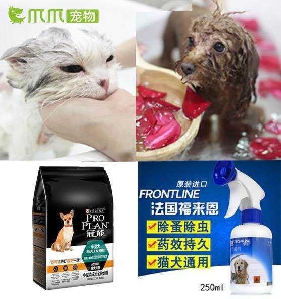 奖品.jpg