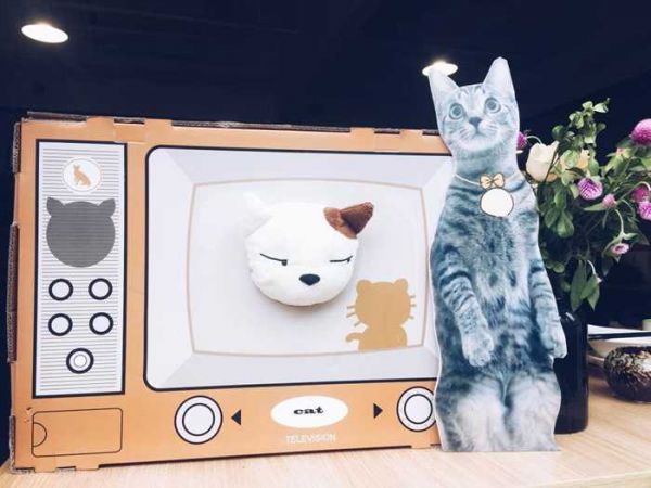 猫咪奖品.jpg